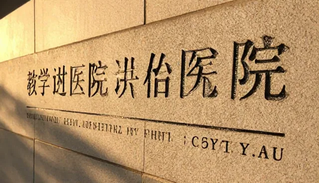 流程优化如何影响培训效果的提升